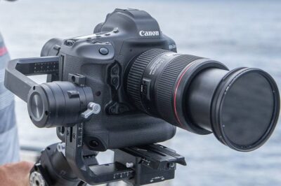 Canon EOS-1D X Mark III Review & Bird Photography Tips