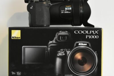 Nikon COOLPIX P1000 Animal Video Guide: Capture Wildlife & Nature’s Finest Moments