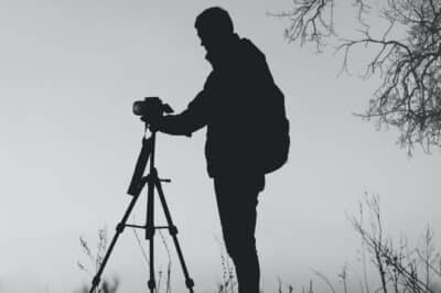 Become a Wildlife Videographer: Skills & Equipment Guide