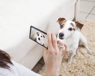 Create Captivating Pet Videos: Easy Steps & Tips for Viral Animal Content