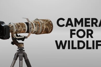 Best Wildlife Filming Camera: Top 4K Video Gear & Reviews