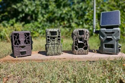 Best Trail Cameras For Your Money: Top Affordable Picks & Reviews